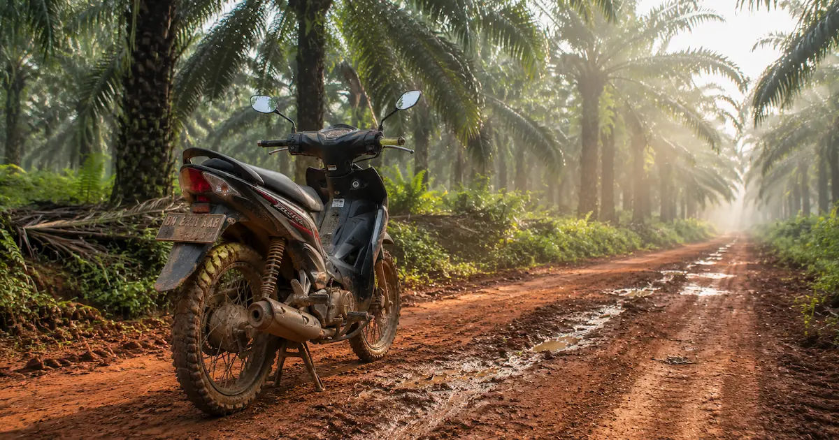 Motor Bekas Terbaik untuk Pekerja Kebun Sawit di Riau